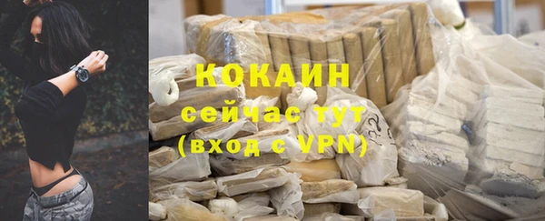 бошки Богданович