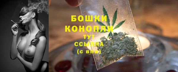 бошки Богданович