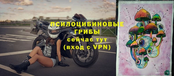 спайс Богородицк