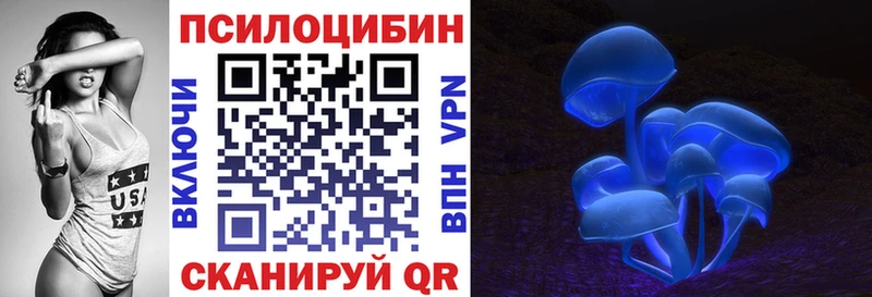 Псилоцибиновые грибы Psilocybe Котлас